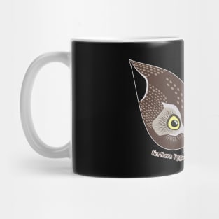 Northern Pygmy Owl Eyes Mug